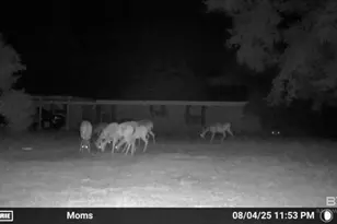 22963 Hwy 98, Foley, AL 36535 - Photo 25