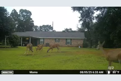 22963 Highway 98, Foley, AL 36535 - Photo 29