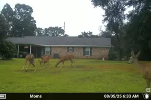 22963 Hwy 98, Foley, AL 36535 - Photo 29