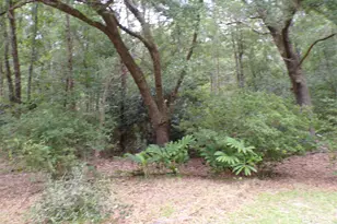 22963 Hwy 98, Foley, AL 36535 - Photo 19