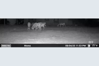 22963 Highway 98, Foley, AL 36535 - Photo 27