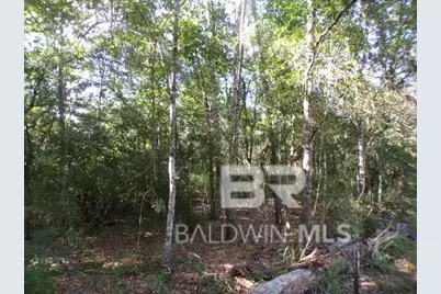 22963 Highway 98, Foley, AL 36535 - Photo 21