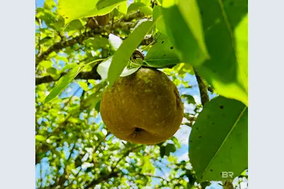 1350 Schillinger Road, Mobile, AL 36695 - Photo 13