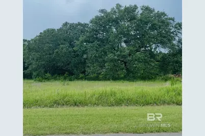 0 Hampton Road, Mobile, AL 36608 - Photo 5
