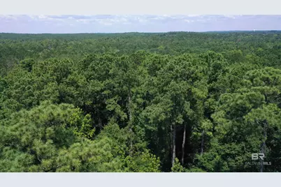 1 & 2 Jackson Circle, Brewton, AL 36426 - Photo 5