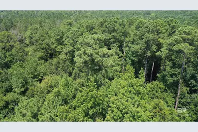 1 & 2 Jackson Circle, Brewton, AL 36426 - Photo 3