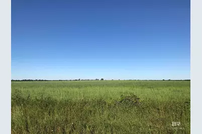 0000 County Road 91, Elberta, AL 36530 - Photo 5