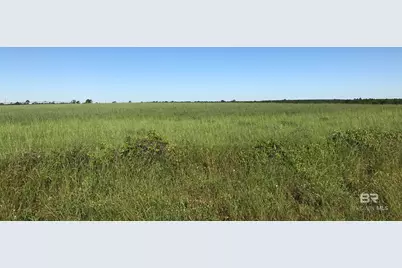 0000 County Road 91, Elberta, AL 36530 - Photo 7