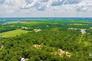 0 St Hwy 59, Summerdale, AL 36580 - Photo 11