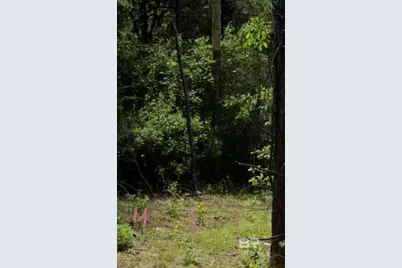 0 Byrnes Lake Road, Bay Minette, AL 36507 - Photo 3