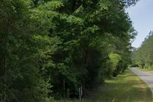 0 Byrnes Lake Rd, Bay Minette, AL 36507 - Photo 1