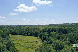 2610 Hwy 4, Jay, FL 32565 - Photo 7