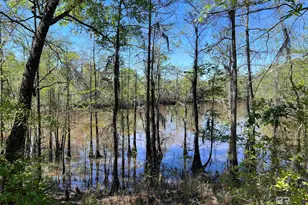 2610 Hwy 4, Jay, FL 32565 - Photo 71