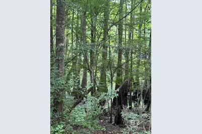 2610 Highway 4, Jay, FL 32565 - Photo 51