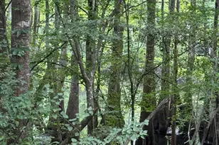 2610 Hwy 4, Jay, FL 32565 - Photo 51