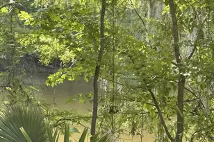 2610 Hwy 4, Jay, FL 32565 - Photo 43