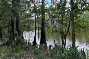 2610 Hwy 4, Jay, FL 32565 - Photo 47