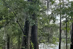 2610 Hwy 4, Jay, FL 32565 - Photo 49