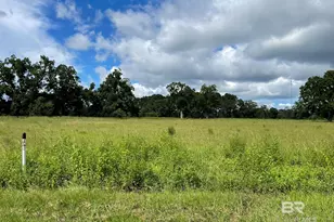 Lot 1 County Road 62, Robertsdale, AL 36567 - Photo 1