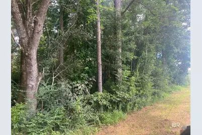 0 McDowell Road, Bay Minette, AL 36507 - Photo 3