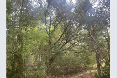0 McDowell Road, Bay Minette, AL 36507 - Photo 1