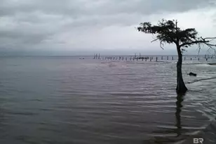 32207 Emancipation Cir, Spanish Fort, AL 36527 - Photo 41