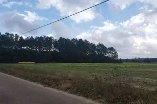 0 Jesse Allen Rd, Milton, FL 32570 - Photo 11