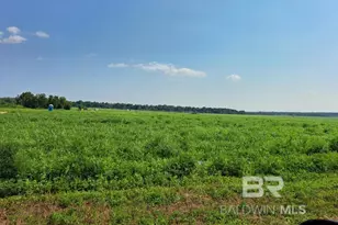 0 Jesse Allen Rd, Milton, FL 32570 - Photo 5