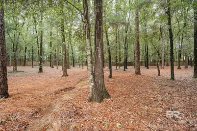 154 Willow Lake Drive, Fairhope, AL 36532 - Photo 41