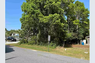 0 Tiger Brown Avenue, Orange Beach, AL 36561 - Photo 5