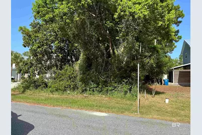 0 Tiger Brown Avenue, Orange Beach, AL 36561 - Photo 9