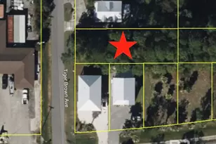 0 Tiger Brown Ave, Orange Beach, AL 36561 - Photo 1