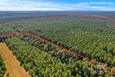 0 Nokomis Road, Walnut Hill, FL 32568 - Photo 37