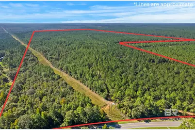 0 Nokomis Road, Walnut Hill, FL 32568 - Photo 1