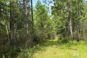 0 Nokomis Rd, Walnut Hill, FL 32568 - Photo 35