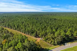 0 Nokomis Rd, Walnut Hill, FL 32568 - Photo 47