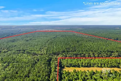 0 Nokomis Road, Walnut Hill, FL 32568 - Photo 41