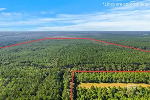 0 Nokomis Rd, Walnut Hill, FL 32568 - Photo 41