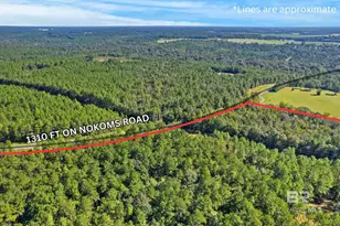 0 Nokomis Rd, Walnut Hill, FL 32568 - Photo 9