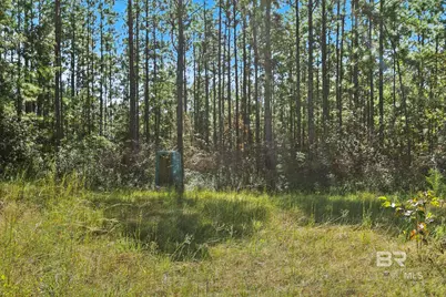 0 Nokomis Road, Walnut Hill, FL 32568 - Photo 15