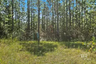 0 Nokomis Rd, Walnut Hill, FL 32568 - Photo 15