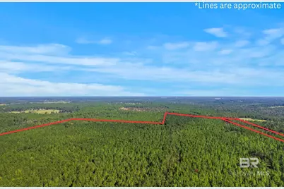 0 Nokomis Road, Walnut Hill, FL 32568 - Photo 39