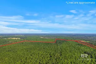 0 Nokomis Rd, Walnut Hill, FL 32568 - Photo 39