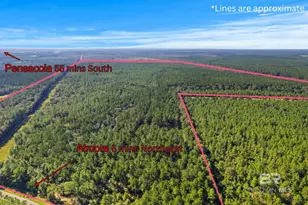 0 Nokomis Rd, Walnut Hill, FL 32568 - Photo 19