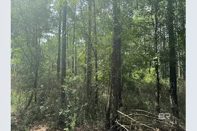 0 Nokomis Road, Walnut Hill, FL 32568 - Photo 25