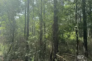 0 Nokomis Rd, Walnut Hill, FL 32568 - Photo 25