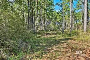 0 Nokomis Rd, Walnut Hill, FL 32568 - Photo 11