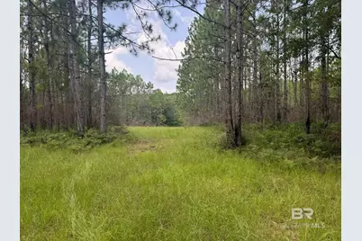 0 Nokomis Road, Walnut Hill, FL 32568 - Photo 29