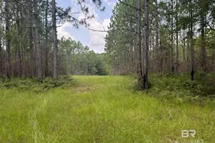 0 Nokomis Rd, Walnut Hill, FL 32568 - Photo 29