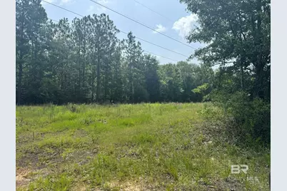 0 Nokomis Road, Walnut Hill, FL 32568 - Photo 43